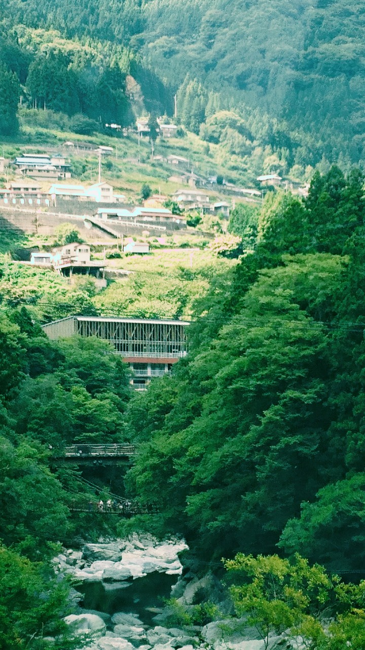 かずら橋