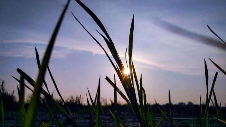 The hidden sun .