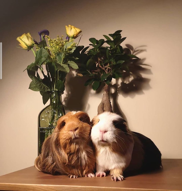 cute love sweet