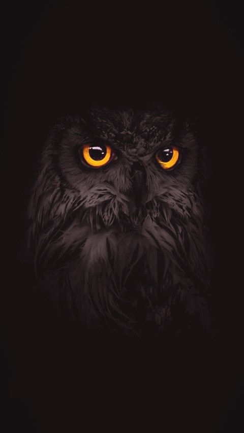 darkness falls when the light is gone...