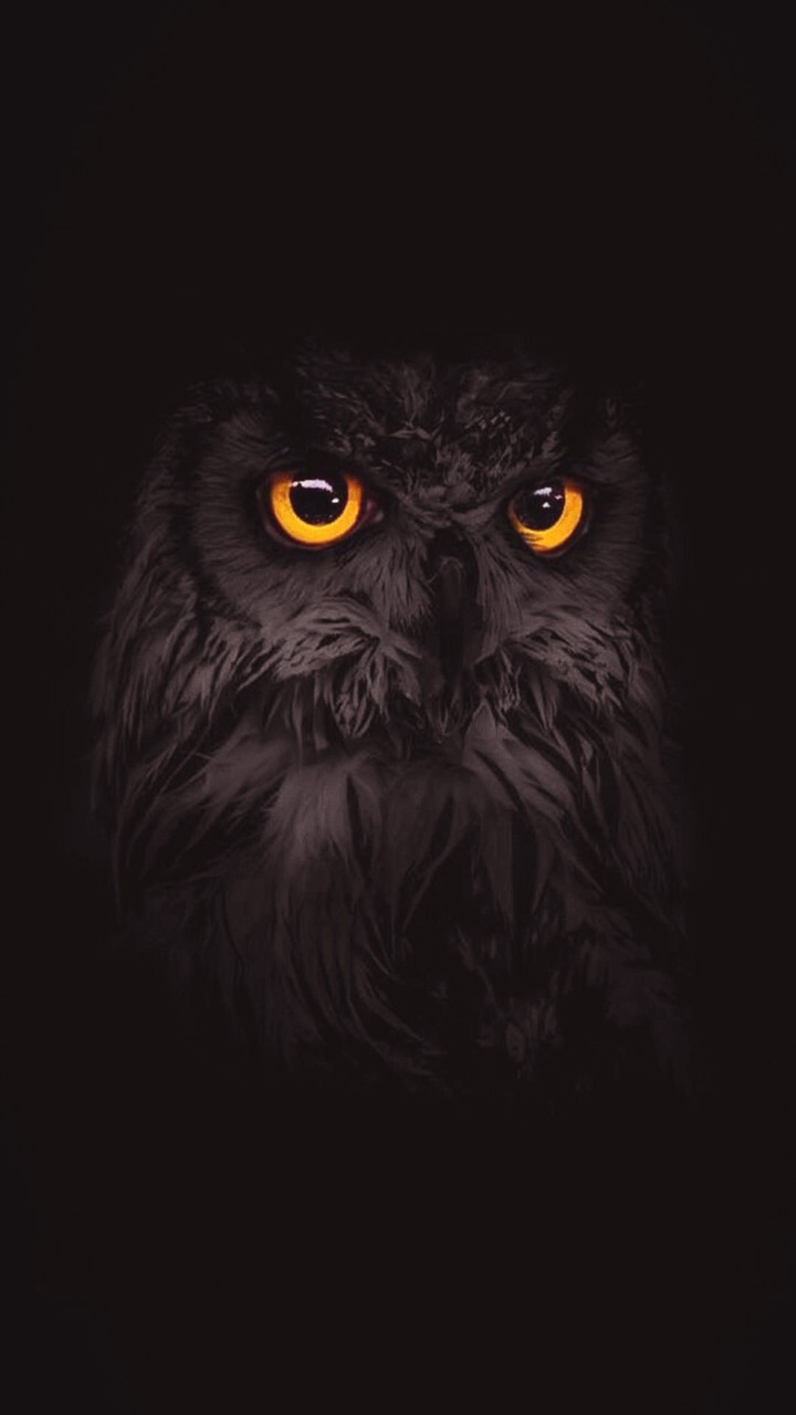 darkness falls when the light is gone...