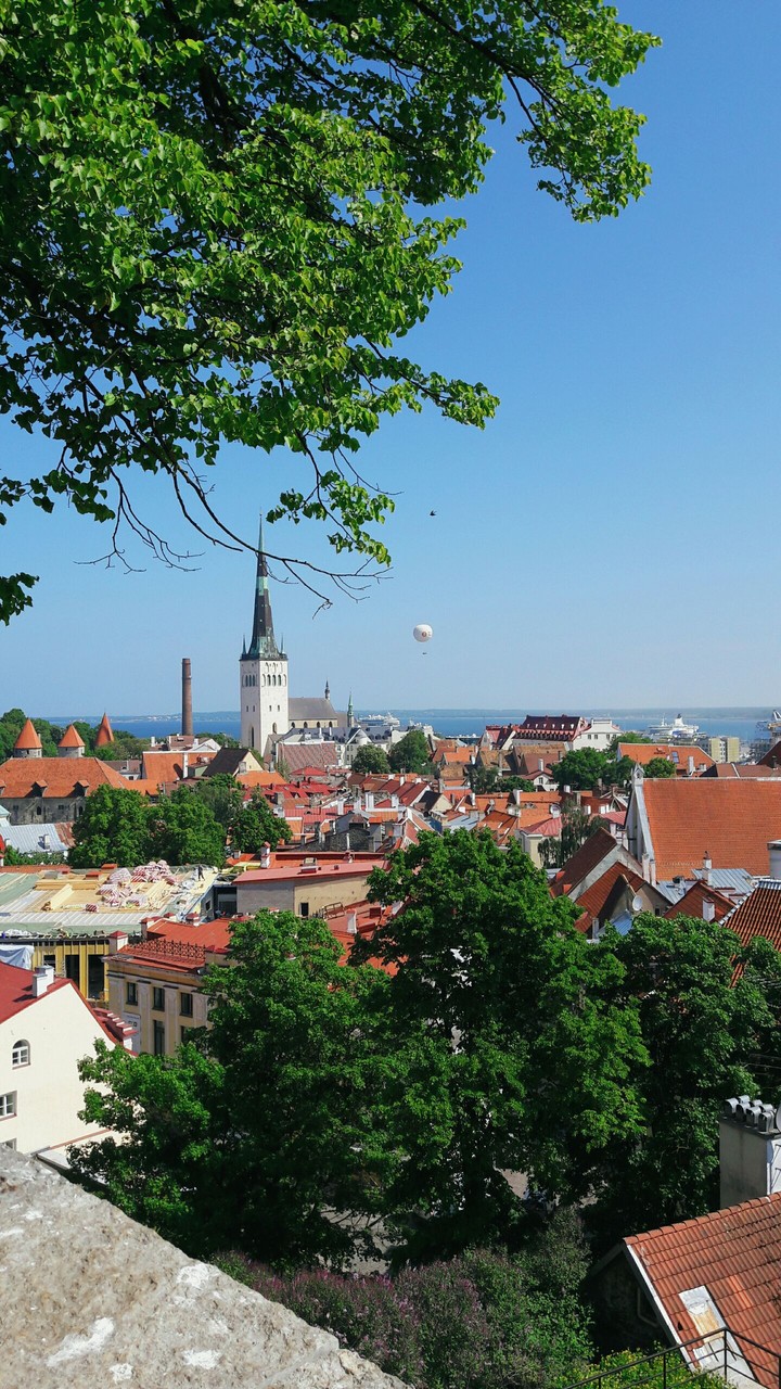 Old Town. Estonia