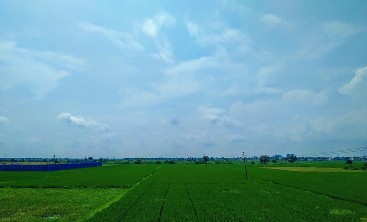 Village life