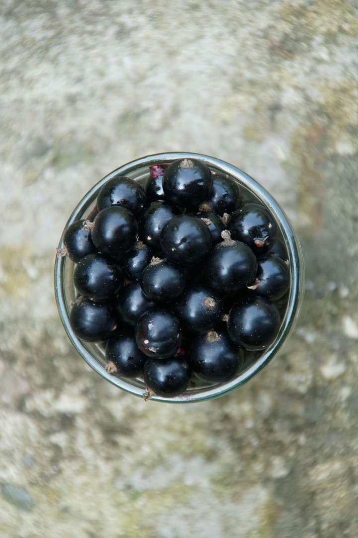 berry