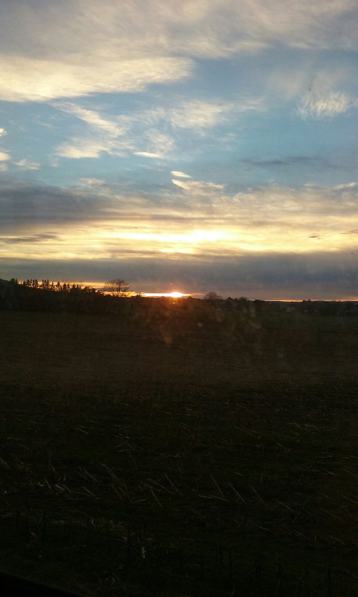 Sunset In the Field