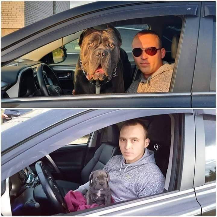 ةة