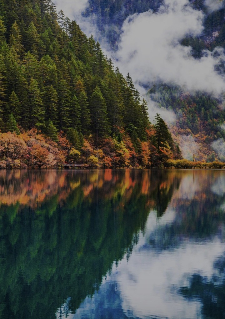 The reflection
