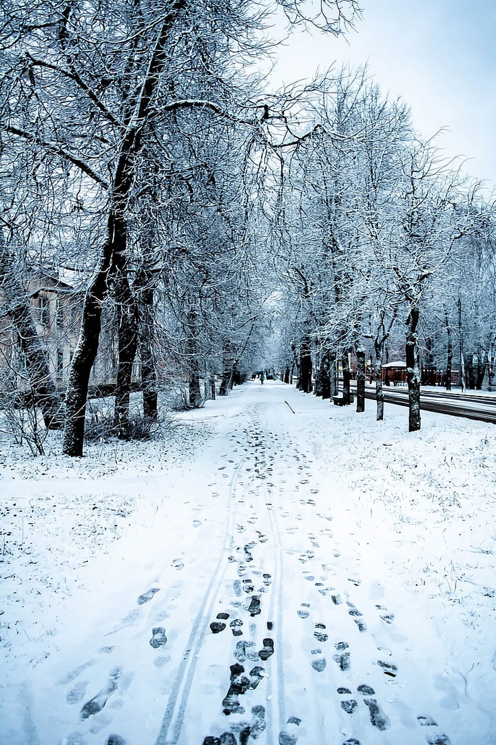 do you like the winter? let me know !