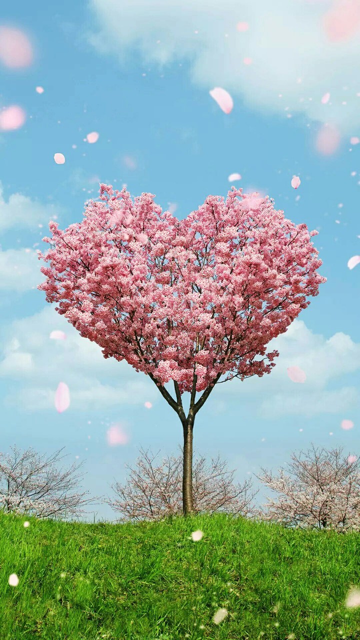 The Pink Tree