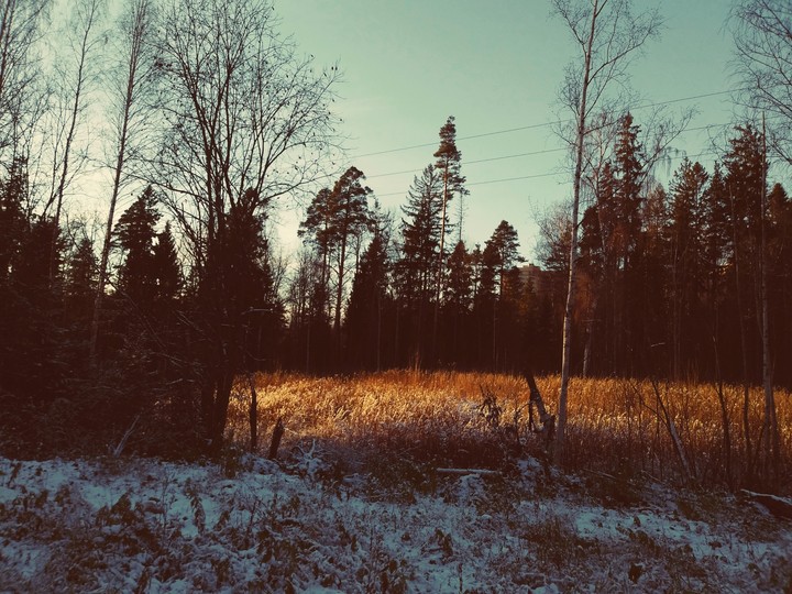 November