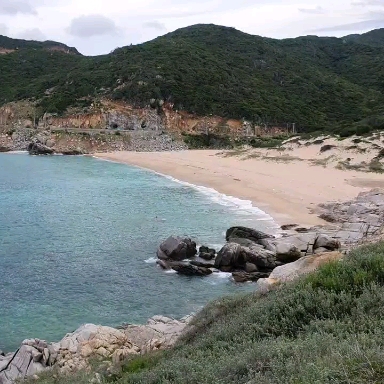 sea