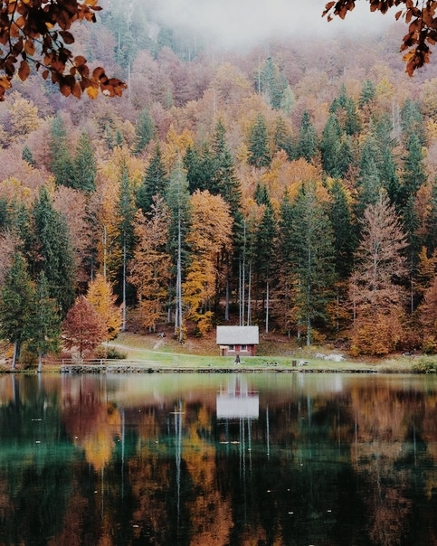 осень