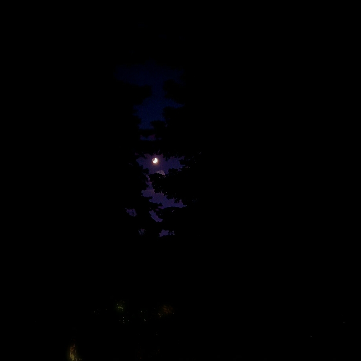 moon