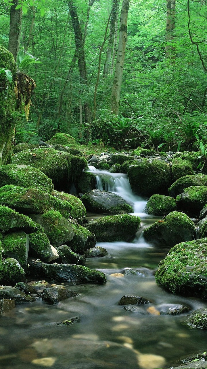 nature