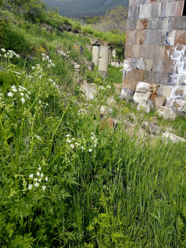 Armenia