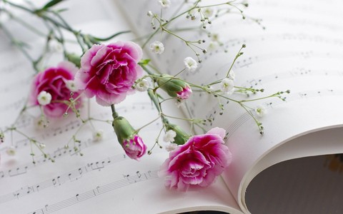 carnations on music sheet