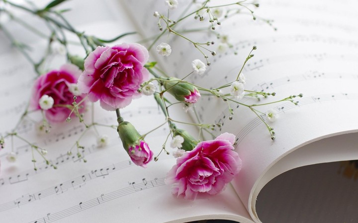 carnations on music sheet