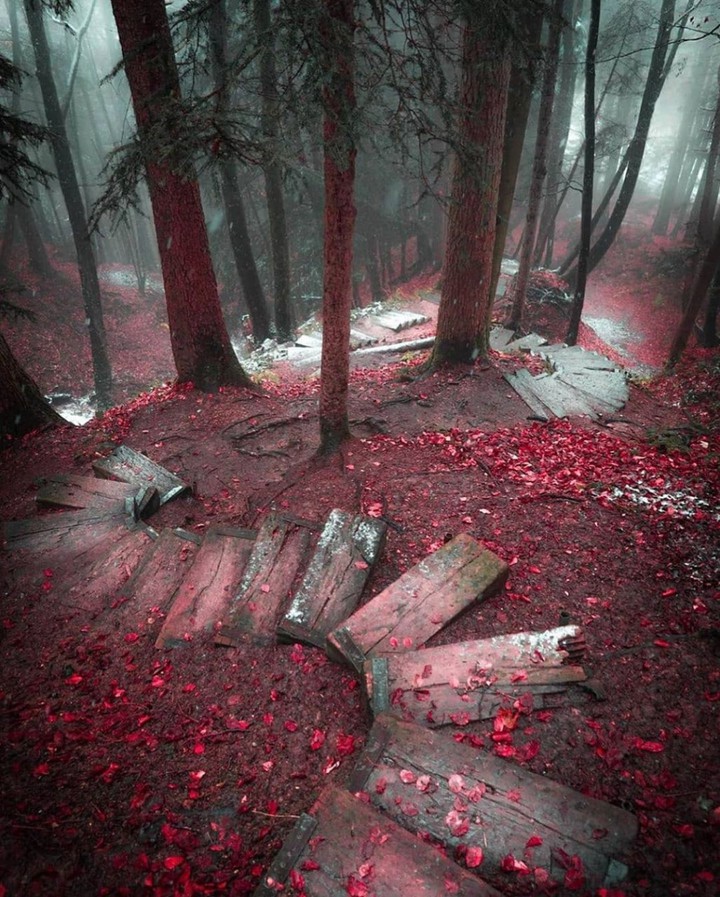 And now the road to the heart of autumn