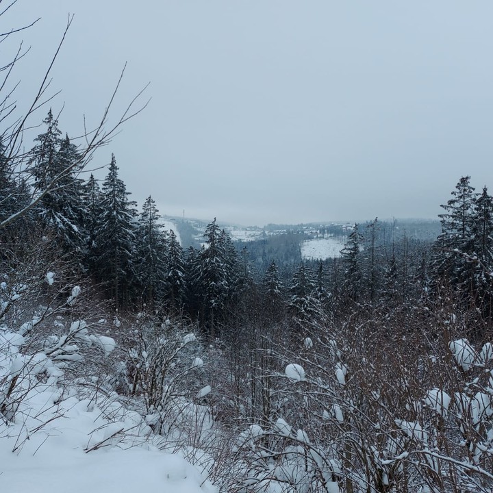 Winter ? voll mit Schnee