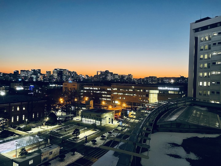 seoul night