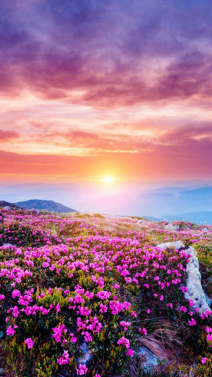 Sunset and sunrise