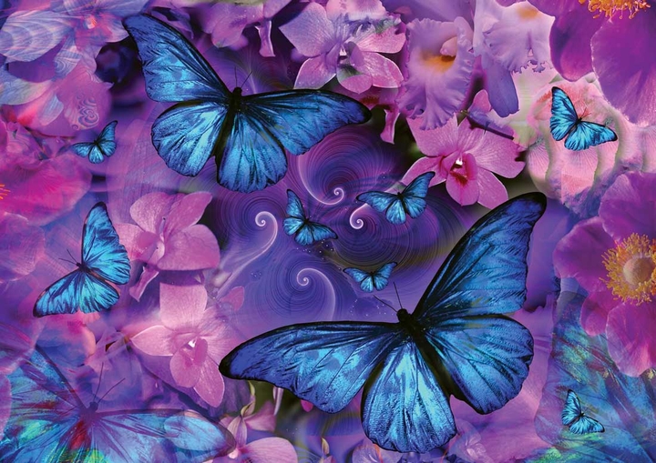 Butterflies ❤