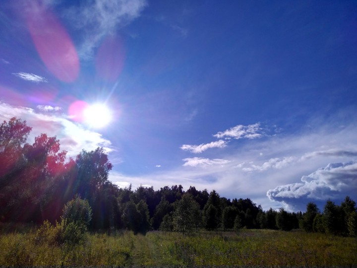 летний пейзаж