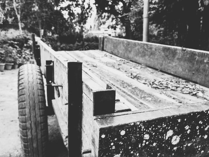 Cart