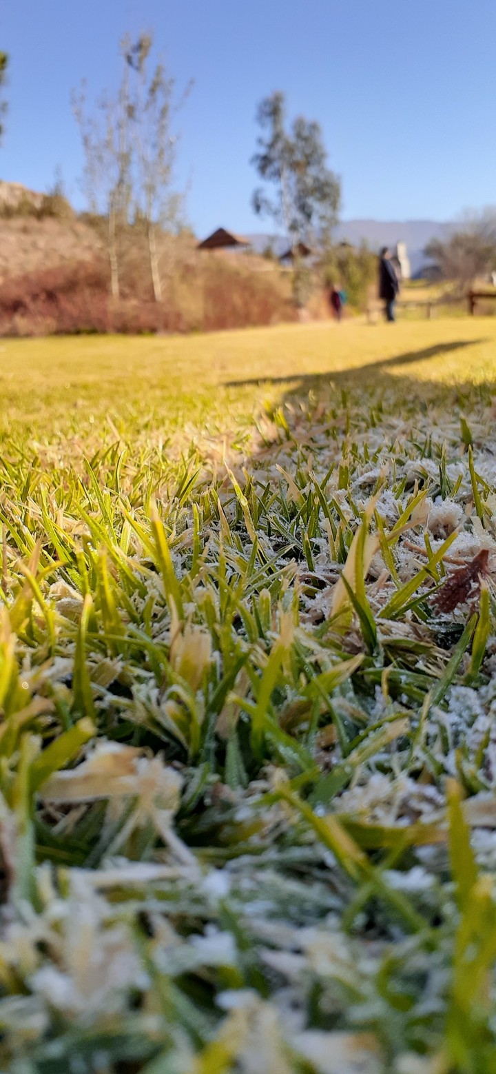Chilly mornings
