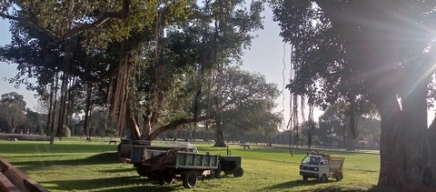 plain, trunk wallpapers