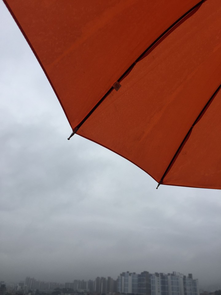 rain