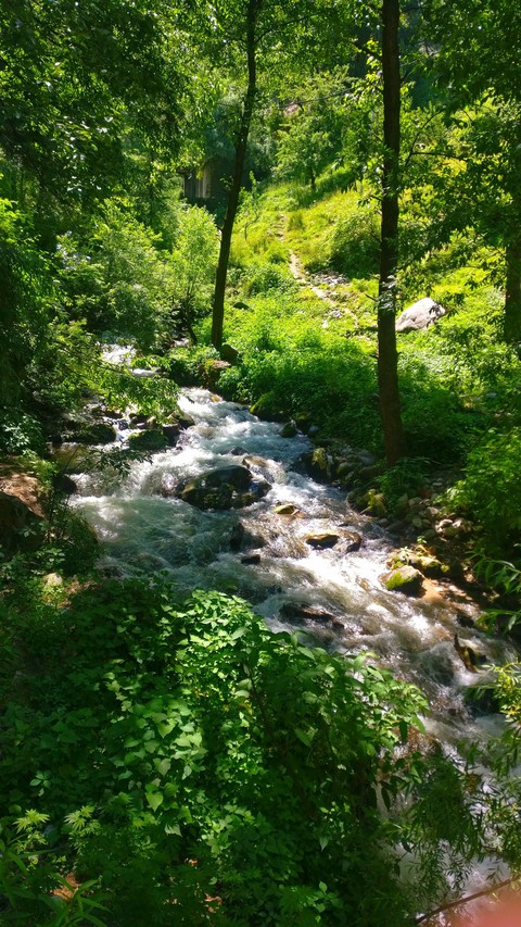 Nature❤️