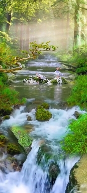 Nature.