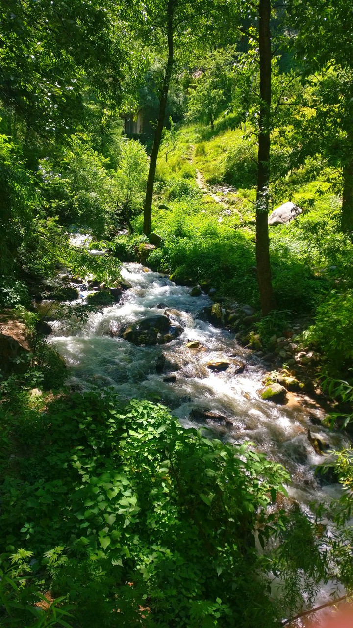 Nature❤️