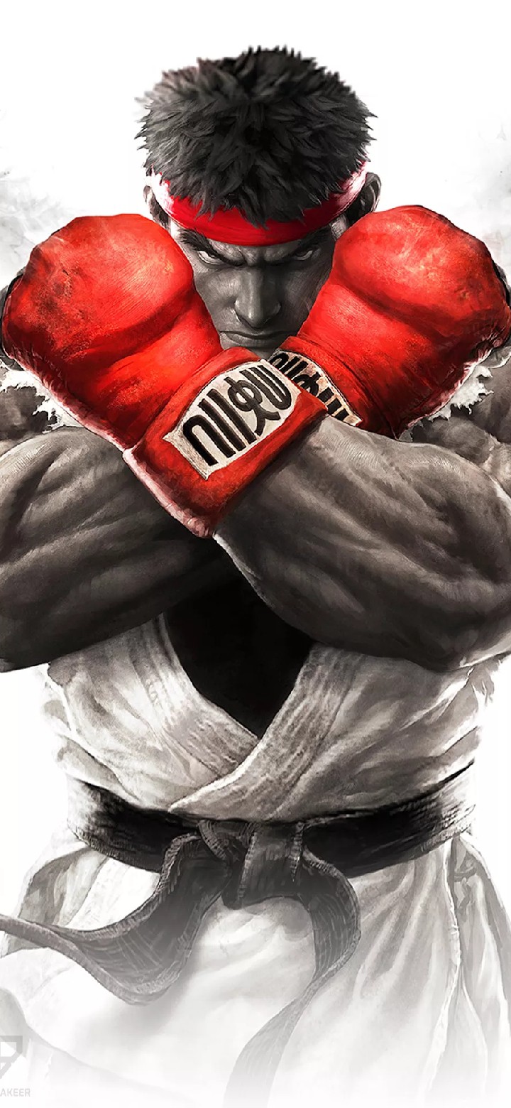 boxer