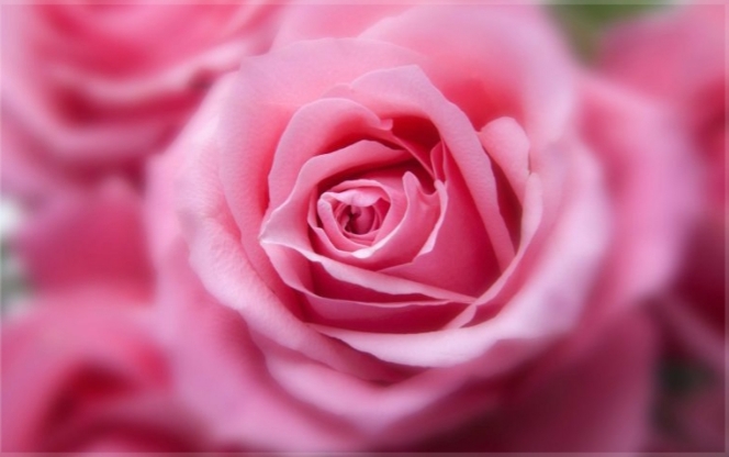 very beautiful