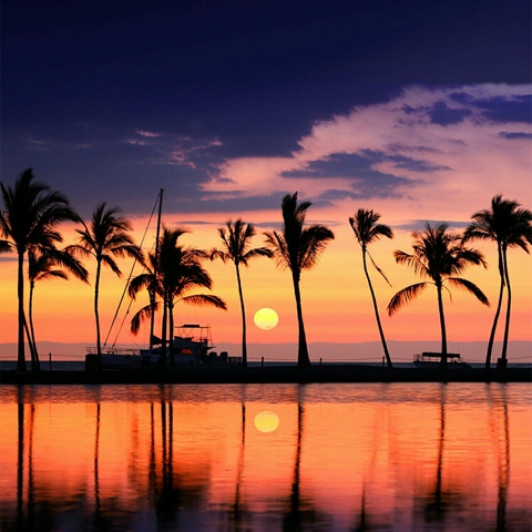 sun