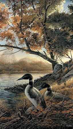 duck