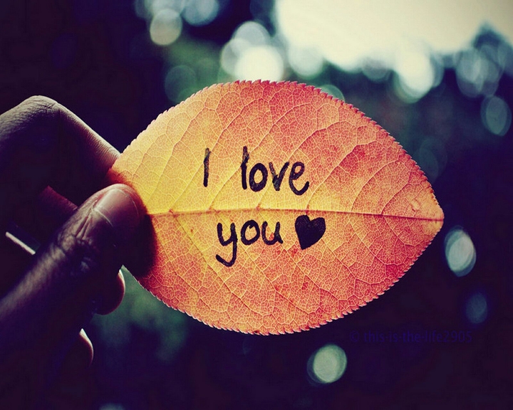 I love you