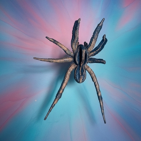 Wolf spider