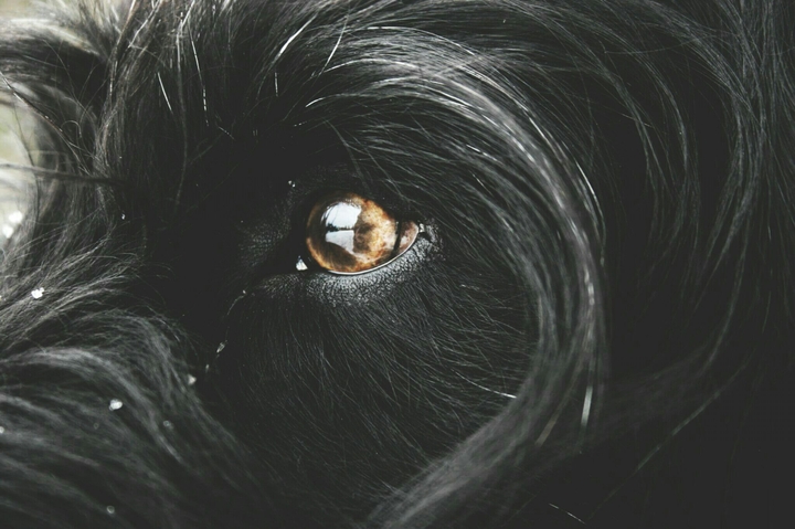 The most beautiful eye