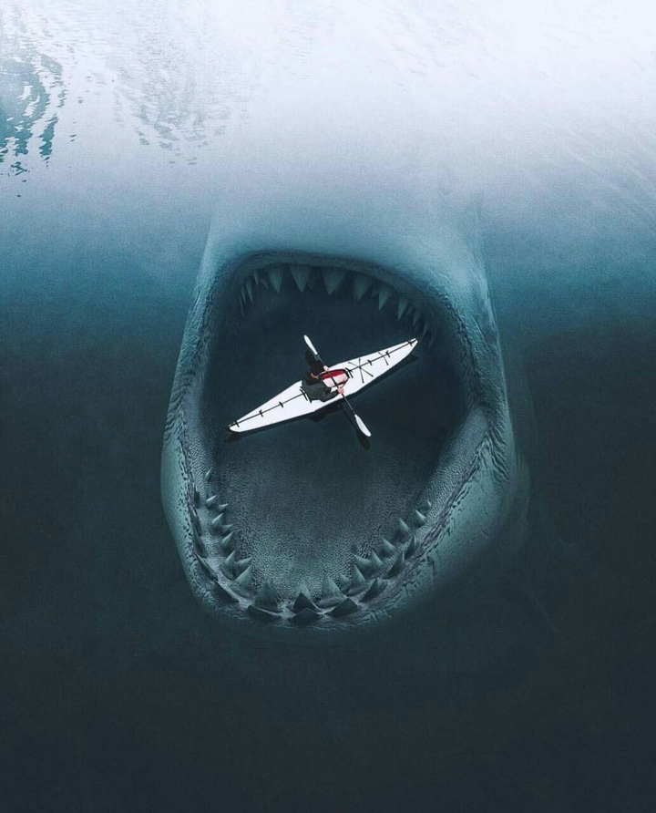 °o°