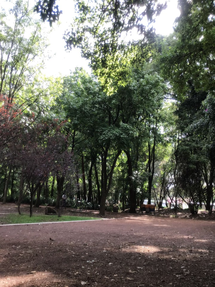 campo