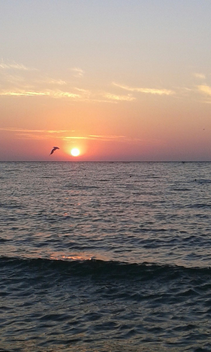 sunrise