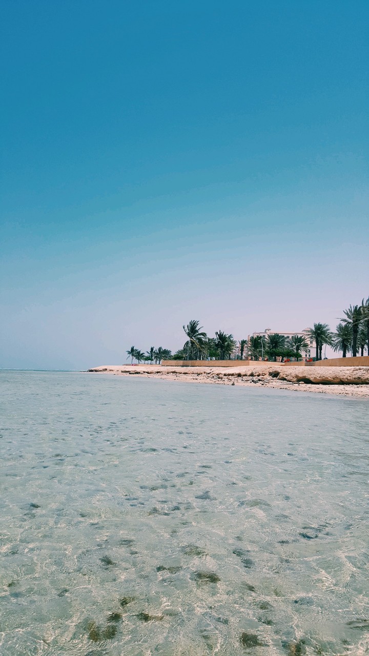 ocean