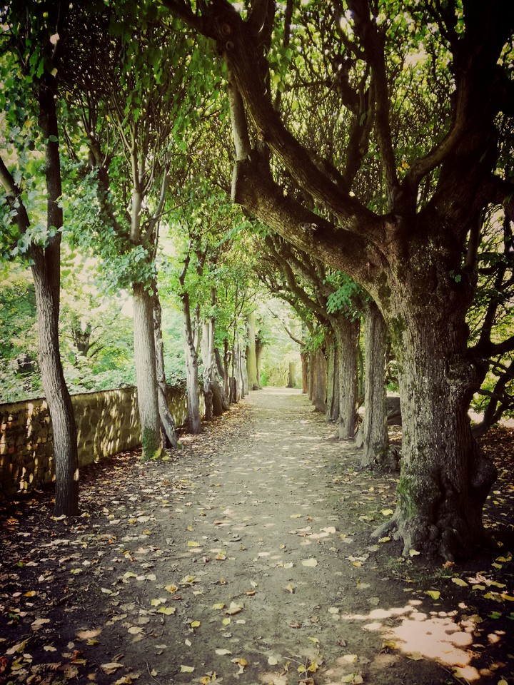 alley