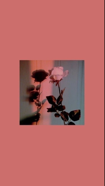 Rose?