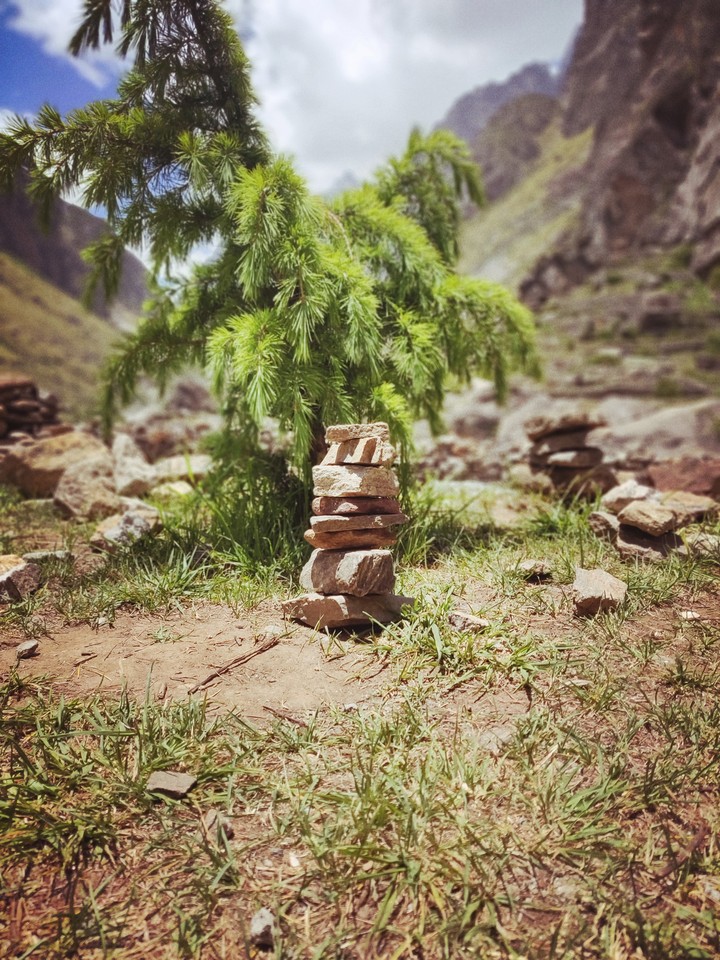 earthiness