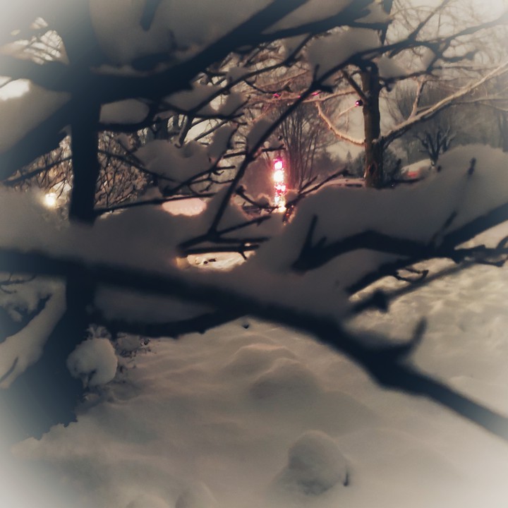Snow Dream