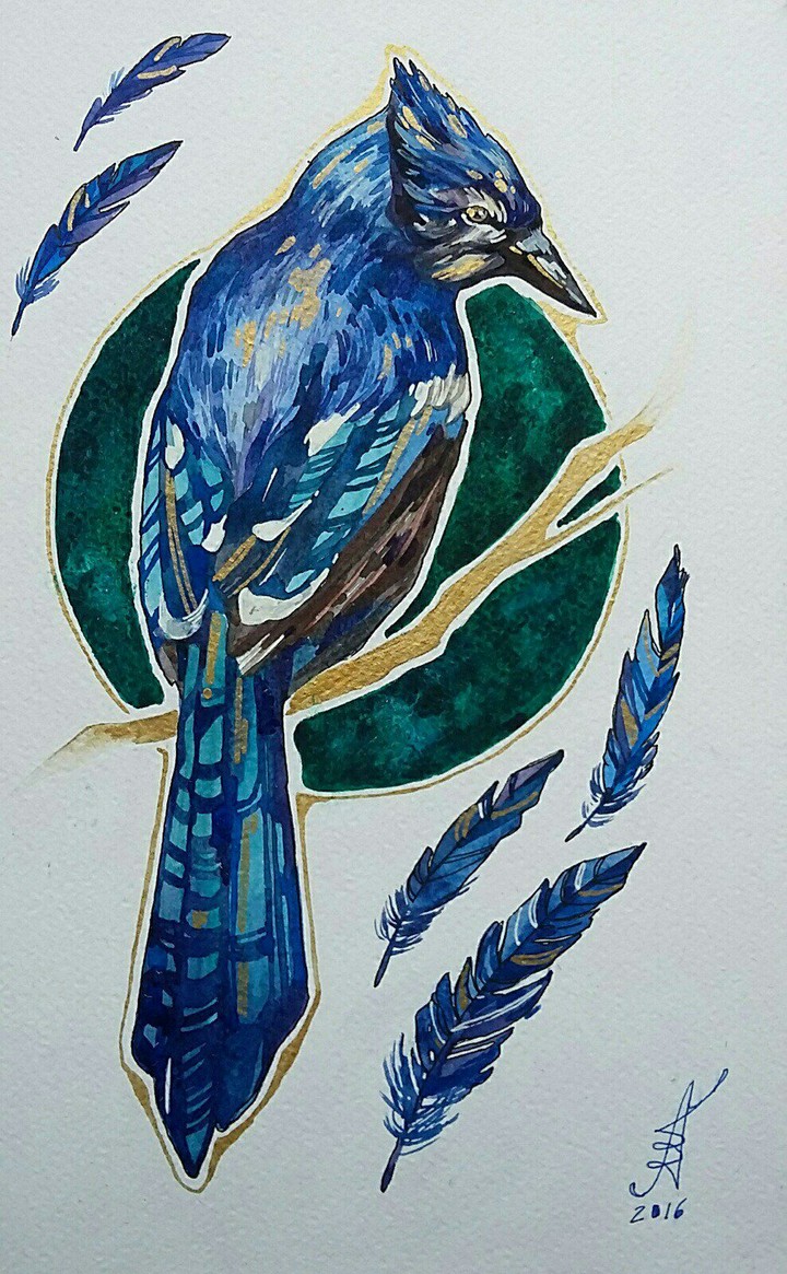 Bird